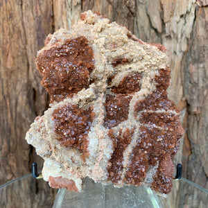 13.5cm 878g Aragonite from Morocco
