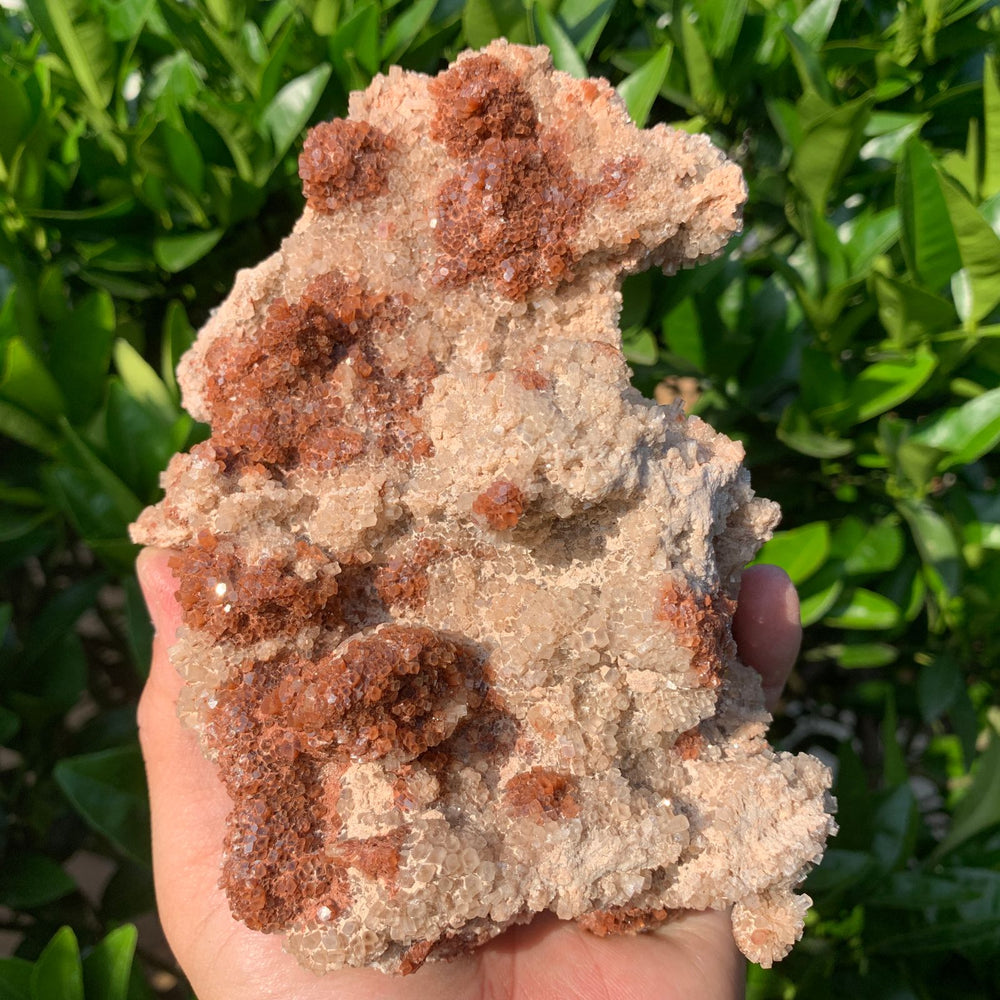 16cm 1.06kg Aragonite from Morocco