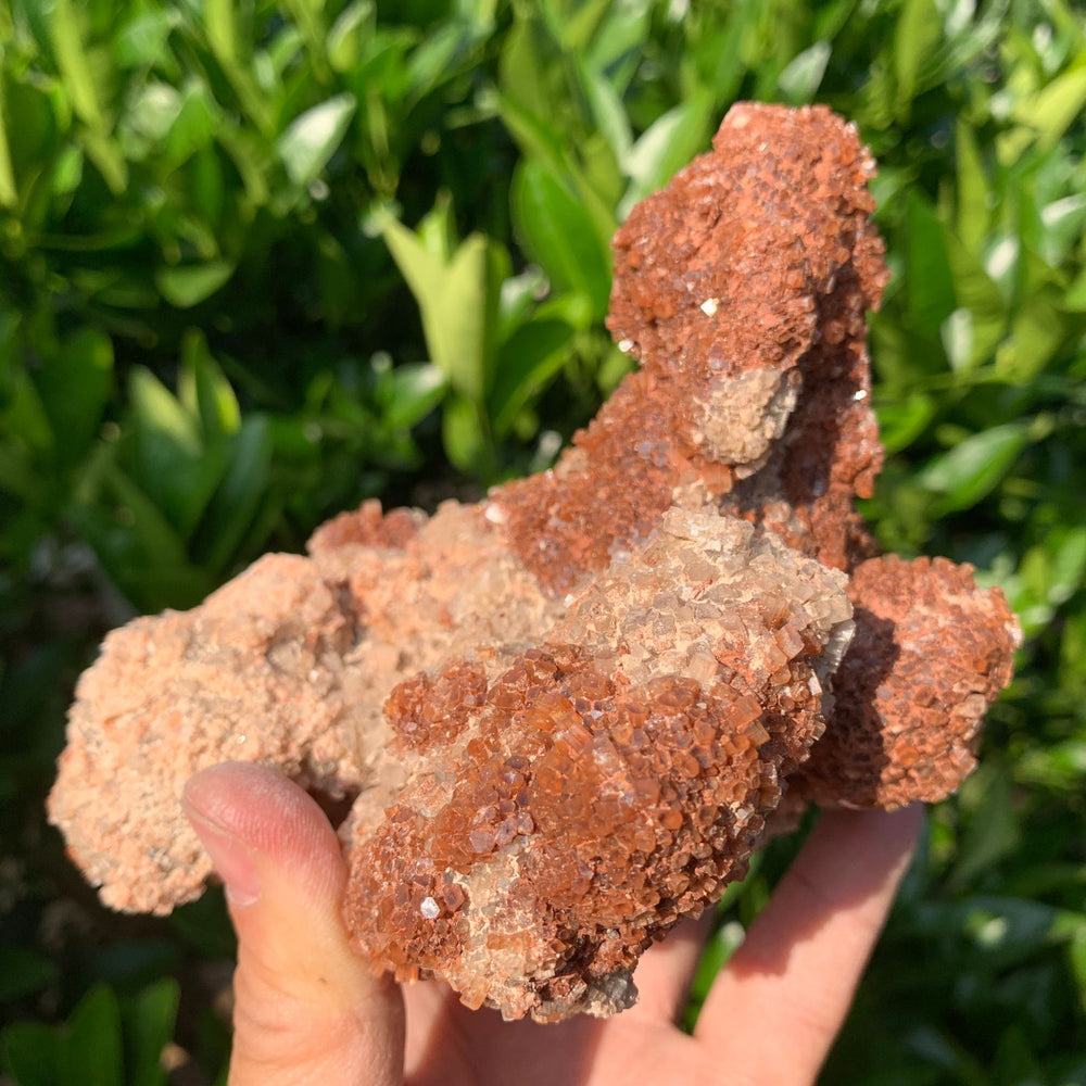 14.5cm 744g Aragonite from Morocco