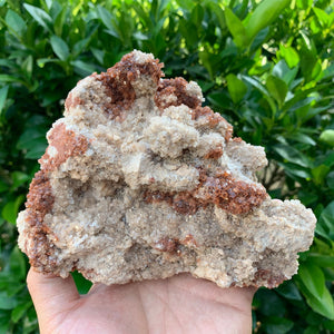 15cm 1.11kg Aragonite from Morocco