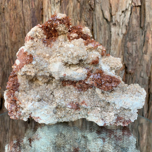 15cm 1.11kg Aragonite from Morocco