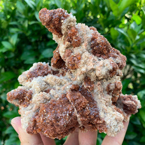 12.5cm 1.1kg Aragonite from Morocco