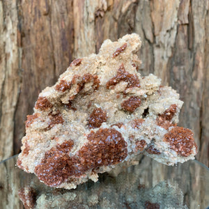 16.5cm 1.38kg Aragonite from Morocco