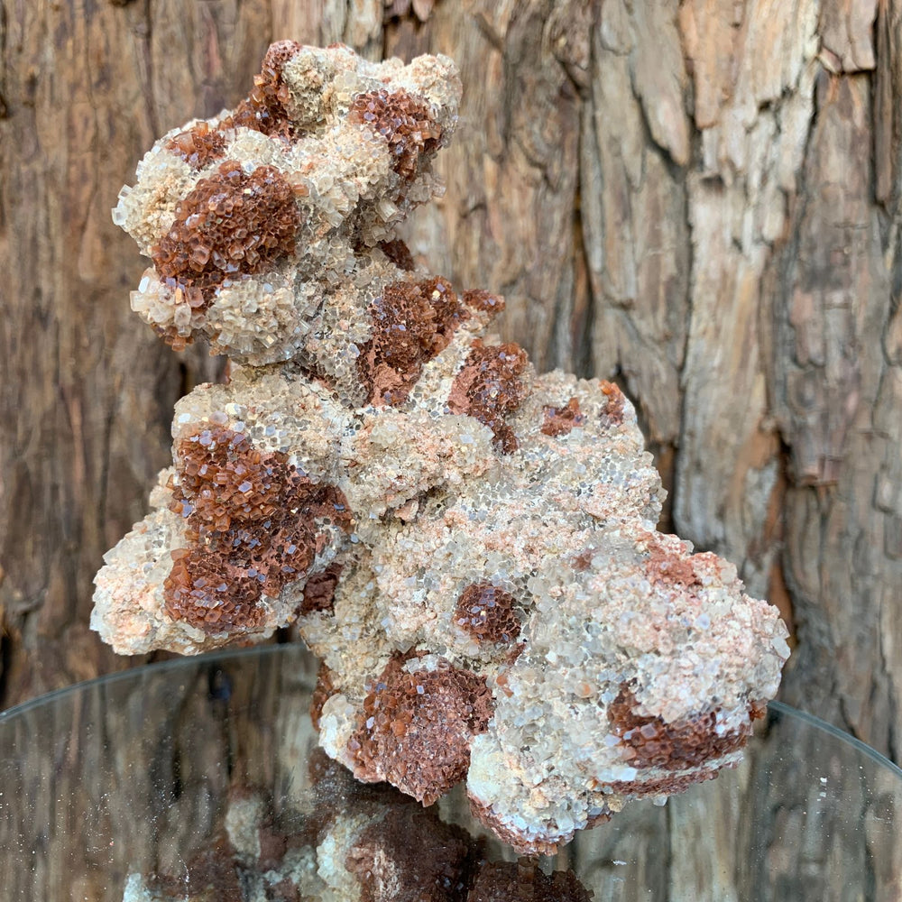 15.5cm 1.47kg Aragonite from Morocco