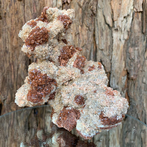 15.5cm 1.47kg Aragonite from Morocco