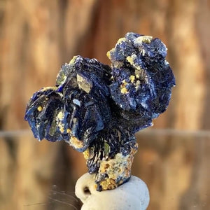 2.5cm 8.5g Azurite from Morocco