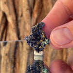 2.5cm 4.5g Azurite from Morocco