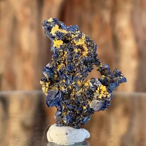 2.5cm 4.5g Azurite from Morocco