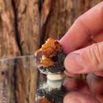 3.4cm 40g Barite from Imilchil, Atlas Mtns, MO