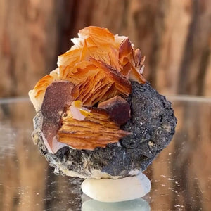 3.4cm 40g Barite from Imilchil, Atlas Mtns, MO
