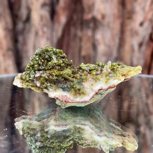 5.5cm 30g Epidote from Imilchil, Atlas Mtns, MO