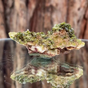 5.5cm 30g Epidote from Imilchil, Atlas Mtns, MO