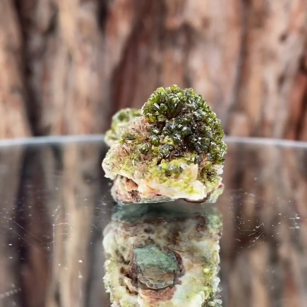 5.5cm 30g Epidote from Imilchil, Atlas Mtns, MO