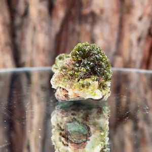 5.5cm 30g Epidote from Imilchil, Atlas Mtns, MO