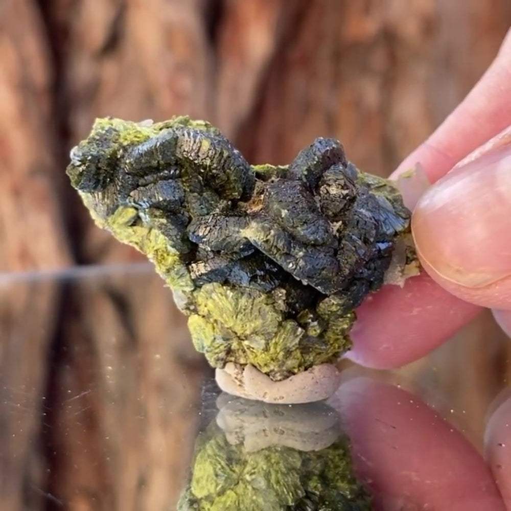 4.2cm 16g Epidote from Imilchil, Atlas Mtns, MO