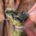 4.2cm 16g Epidote from Imilchil, Atlas Mtns, MO