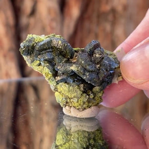 4.2cm 16g Epidote from Imilchil, Atlas Mtns, MO