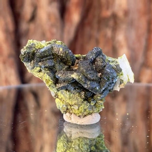 4.2cm 16g Epidote from Imilchil, Atlas Mtns, MO