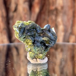 4.2cm 16g Epidote from Imilchil, Atlas Mtns, MO