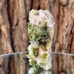 8cm 184g Epidote & Quartz from Imilchil, Atlas Mtns, MO