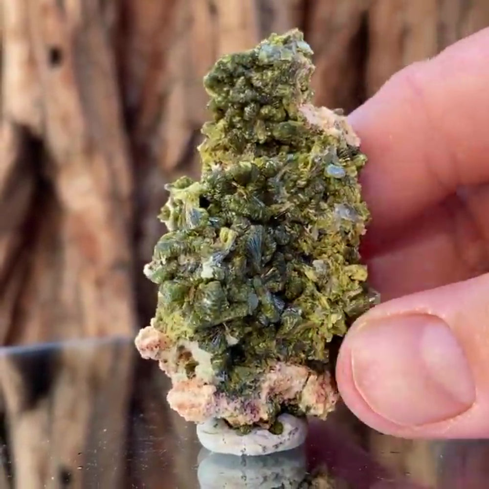 6cm 38g Epidote from Imilchil, Atlas Mtns, MO