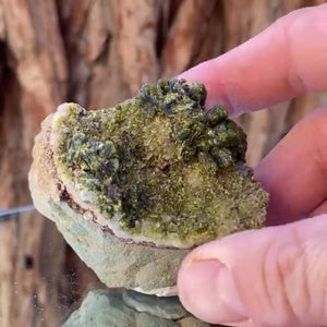 6.5cm 122g Epidote from Imilchil, Atlas Mtns, MO