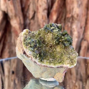 6.5cm 122g Epidote from Imilchil, Atlas Mtns, MO