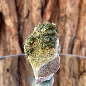 6.5cm 122g Epidote from Imilchil, Atlas Mtns, MO