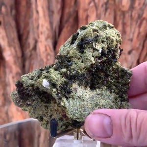9.5cm 220g Epidote from Imilchil, Atlas Mountain Range, Morocco