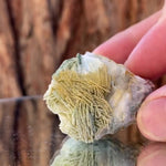 5cm 50g Prehnite from Imilchil, Middle Atlas Mtns, Morocco