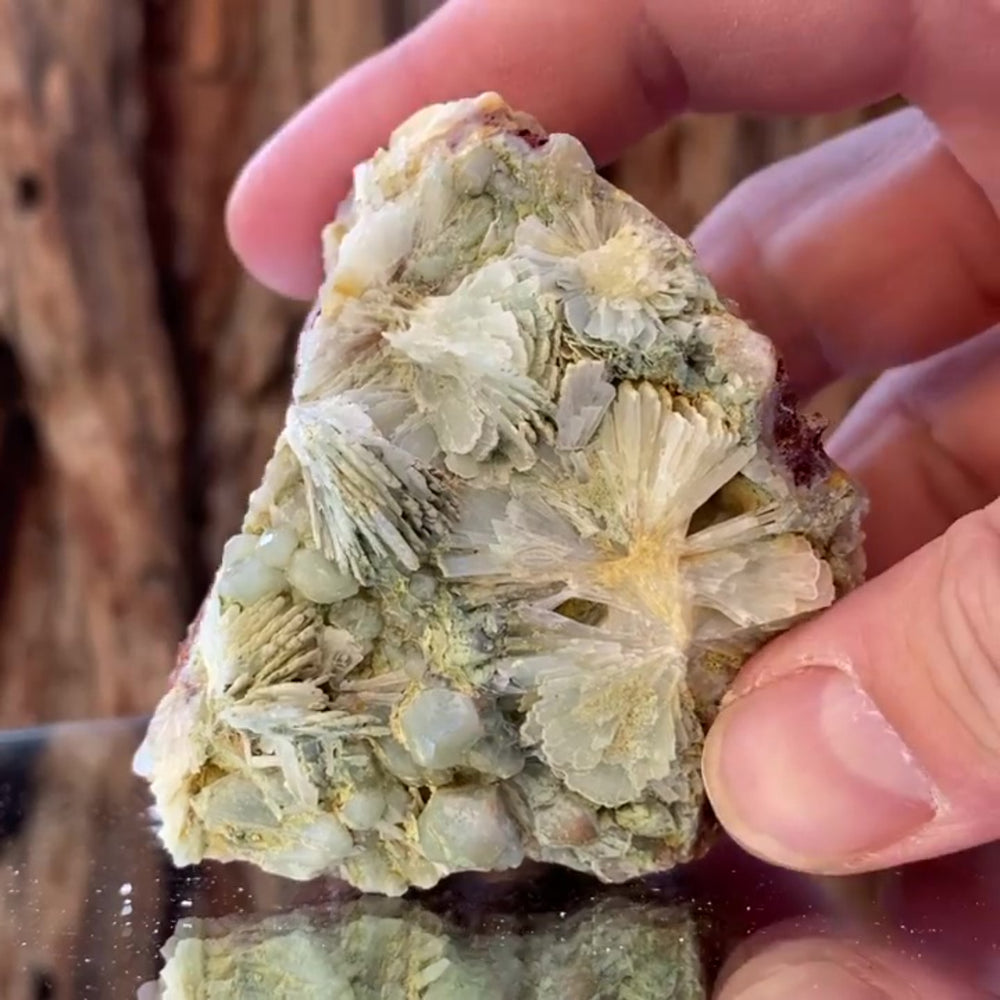 6.5cm 190g Prehnite from Imilchil, Middle Atlas Mtns, Morocco