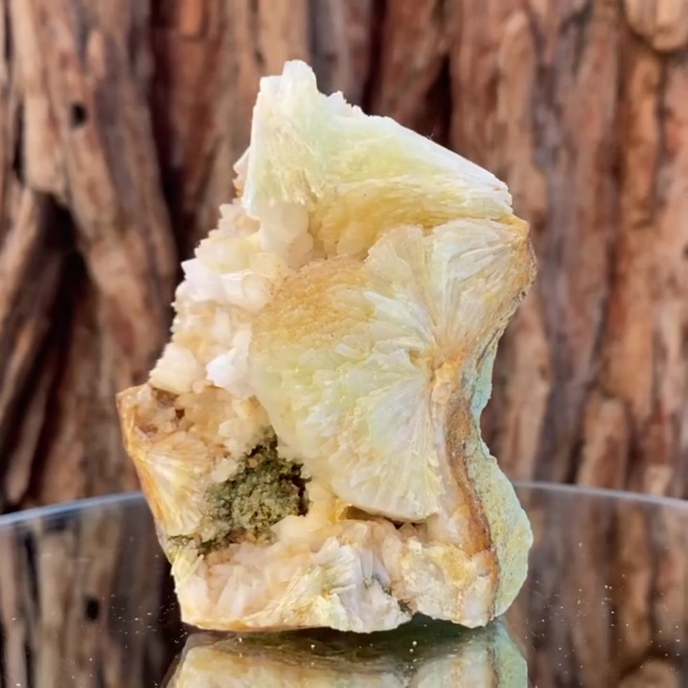 
            
                Load image into Gallery viewer, 8.5cm 190g Prehnite from Imilchil, Middle Atlas Mtns, Morocco
            
        
