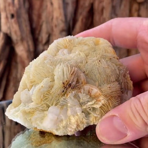 8.5cm 355g Prehnite from Imilchil, Middle Atlas Mtns, Morocco