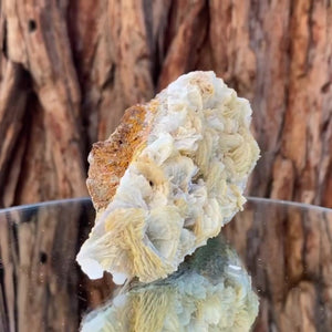 
            
                Load image into Gallery viewer, 10.5cm 240g Prehnite from Imilchil, Middle Atlas Mtns, Morocco
            
        