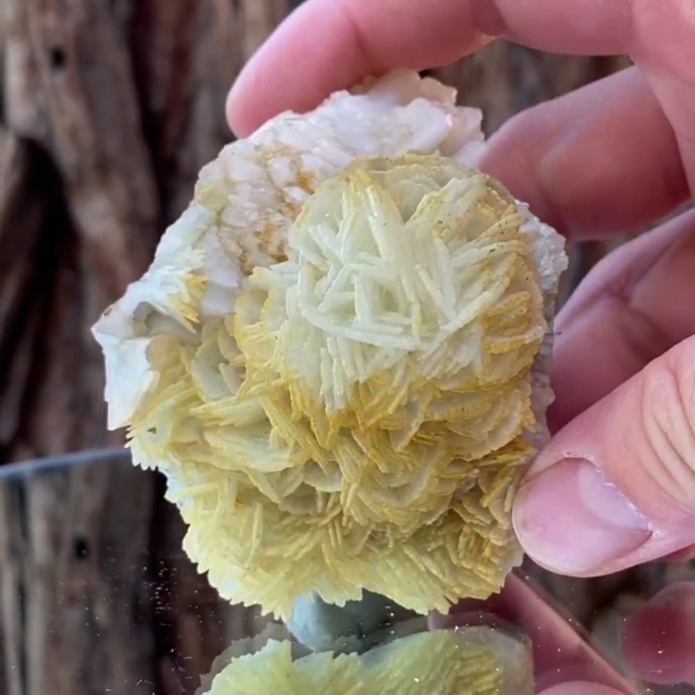7.5cm 210g Prehnite from Imilchil, Middle Atlas Mtns, Morocco