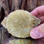 9.5cm 440g Prehnite from Imilchil, Middle Atlas Mtns, Morocco
