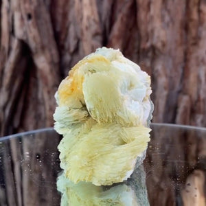 7.5cm 330g Prehnite from Imilchil, Middle Atlas Mtns, Morocco