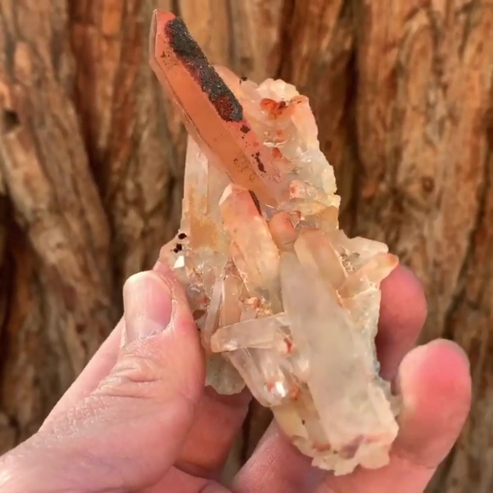 
            
                Load image into Gallery viewer, 11.5cm 110g Red Quartz with Clay Inclusion, Tinejdad, Errachidia Province, Morocco
            
        