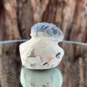 4cm 60g Trilobite Fossil in Cement Matrix from Morocco