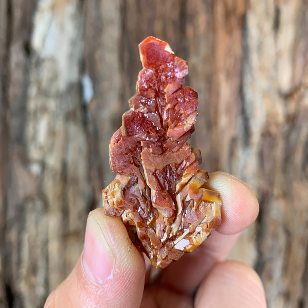 
            
                Load image into Gallery viewer, 5cm 26g Vanadinite Crystal Cluster Stone Rock Mineral Specimen, Morocco
            
        
