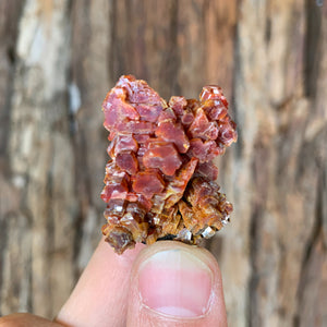 3.3cm 24g Vanadinite Crystal Cluster Stone Rock Mineral Specimen, Morocco