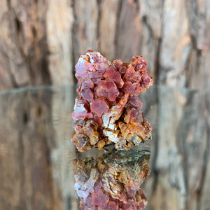 3.3cm 24g Vanadinite from Mibladen, Morocco