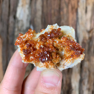 5.5cm 80g Vanadinite Crystal Cluster Stone Rock Mineral Specimen, Morocco