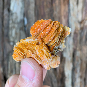 5cm 65g Vanadinite Crystal Cluster Stone Rock Mineral Specimen, Morocco