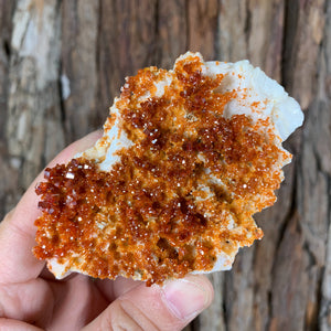 
            
                Load image into Gallery viewer, 9.5cm 270g Vanadinite Crystal Stone Rock Mineral from Morocco
            
        