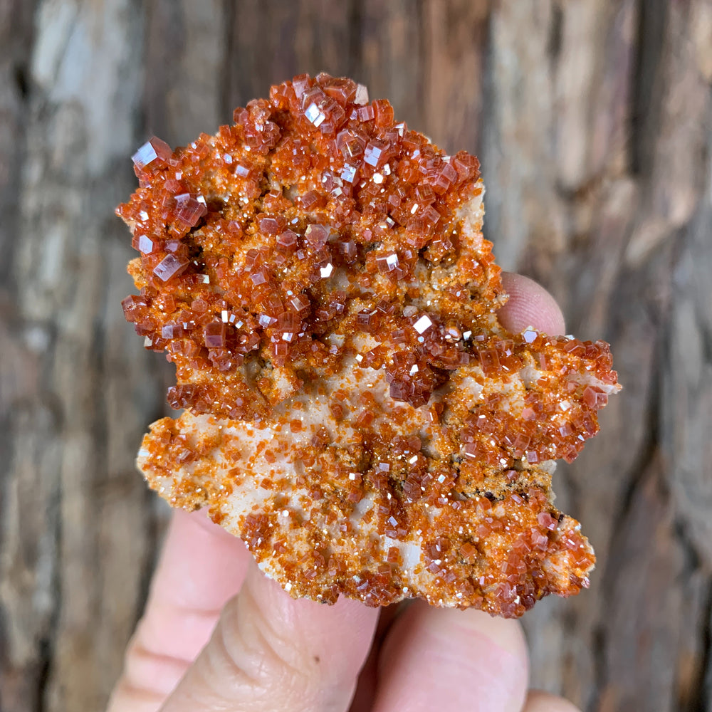 6.5cm 80g Vanadinite Crystal Cluster Stone Rock Mineral Specimen, Morocco