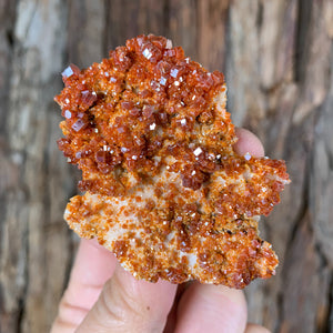 
            
                Load image into Gallery viewer, 6.5cm 80g Vanadinite Crystal Cluster Stone Rock Mineral Specimen, Morocco
            
        