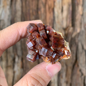 4.5cm 58g Vanadinite Crystal Cluster Stone Rock Mineral Specimen, Morocco