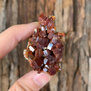 5.5cm 92g Vanadinite Crystal Cluster Stone Rock Mineral Specimen, Morocco