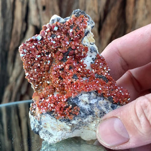 
            
                Load image into Gallery viewer, 8cm 162g Vanadinite from Mibladen, Morocco
            
        